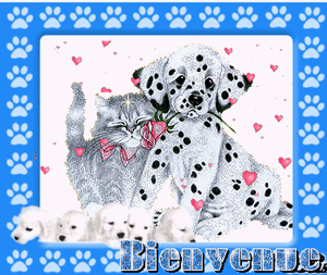 Gif animé bienvenue chien et chat
